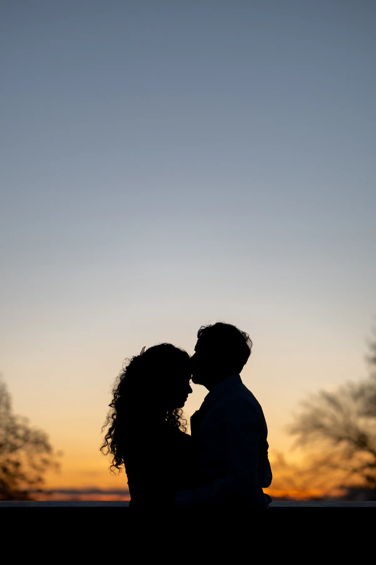 Photograph 7